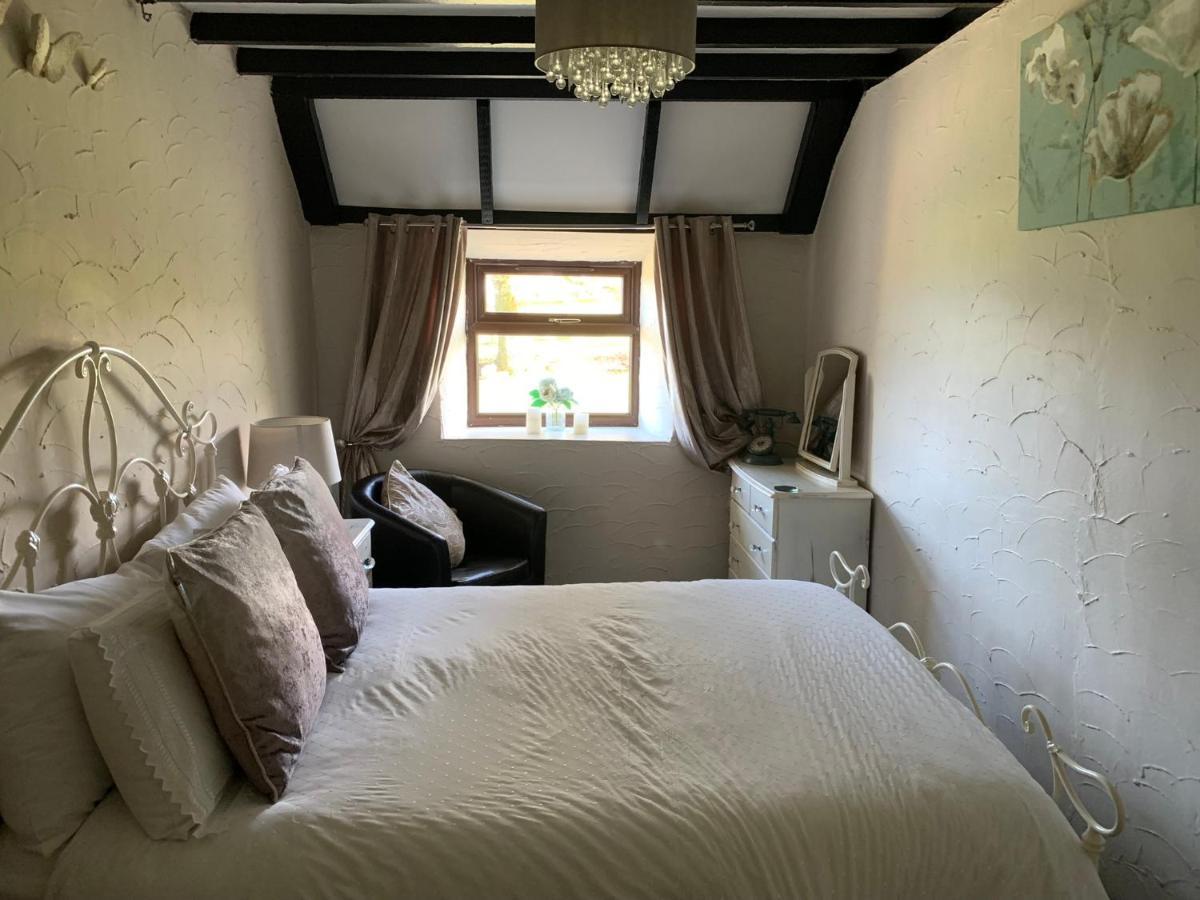 Byre Cottages & Log Cabin Cardigan Buitenkant foto